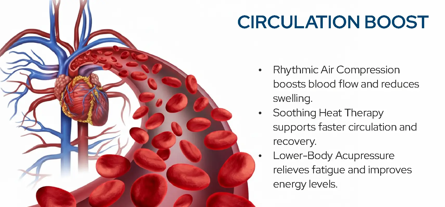 Circulation Boost