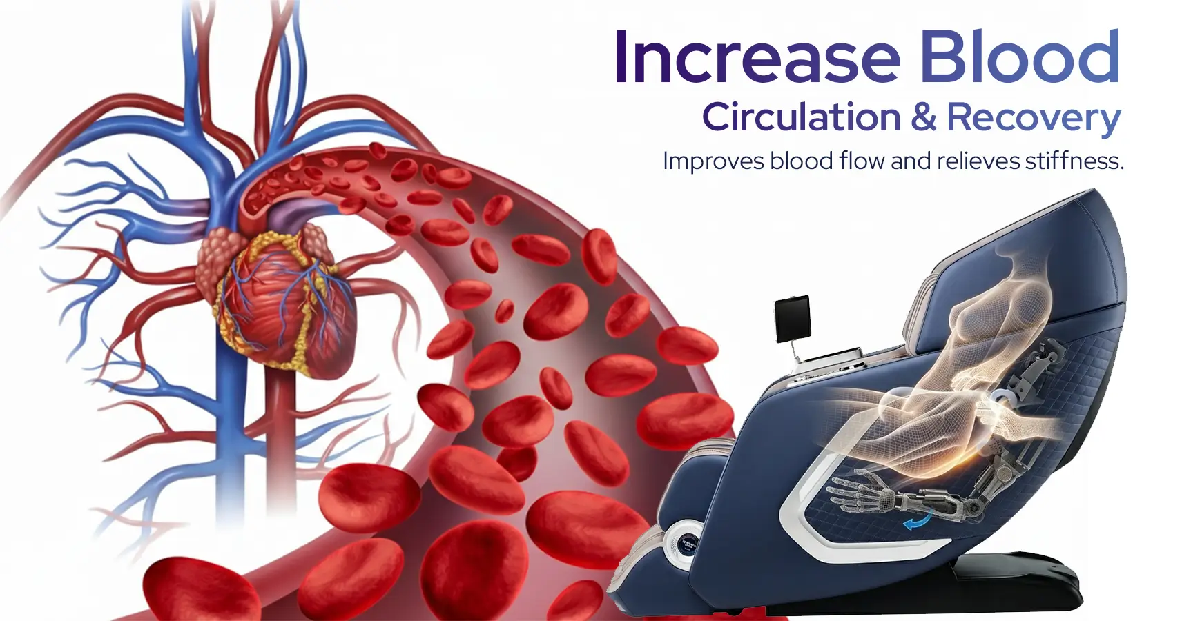 Increase Blood Circulation & Recovery